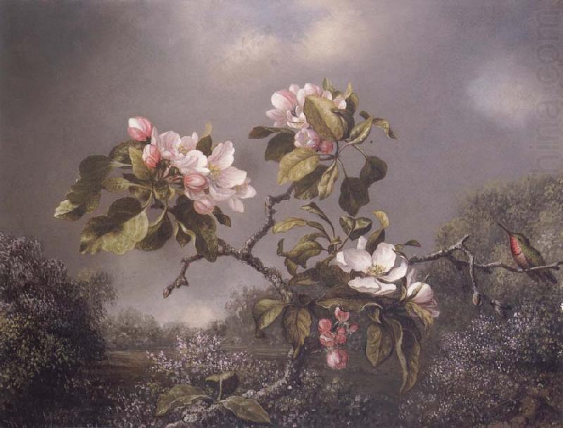 Martin Johnson Heade Apple Blosoms and Hummingbird oil painting picture